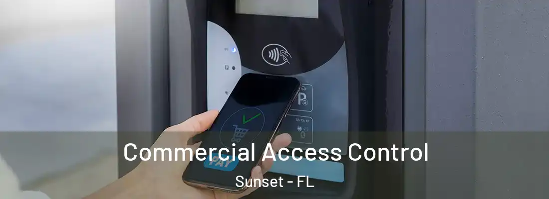 Commercial Access Control Sunset - FL