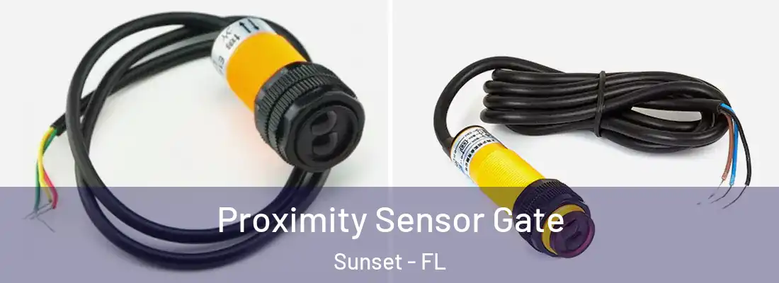 Proximity Sensor Gate Sunset - FL